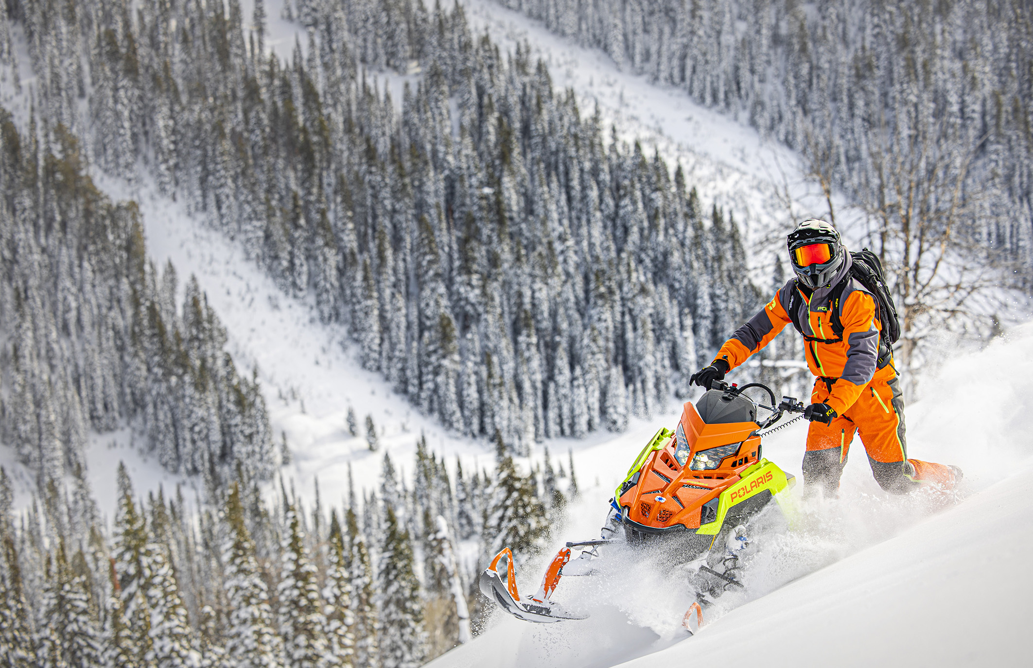 Snowmobile - TODD WILLIAMS